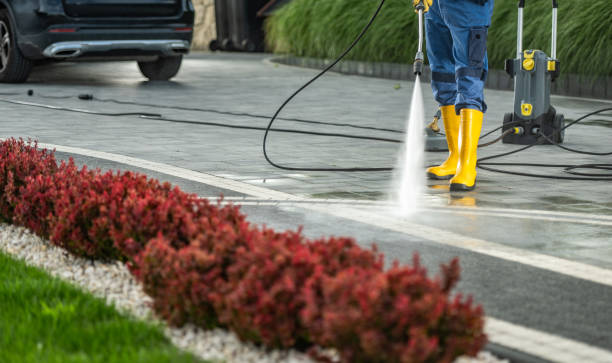 Best Fence Cleaning  in Oroville, WA